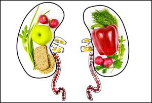 رژیم غذایی بیماران کلیوی